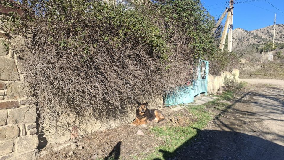 ������� �������������� �������� ������������� ������ �������� ���������� ���������� ������ ���������� � ��������������� �� ���������� ��� ��������� � ������������� ������ �����