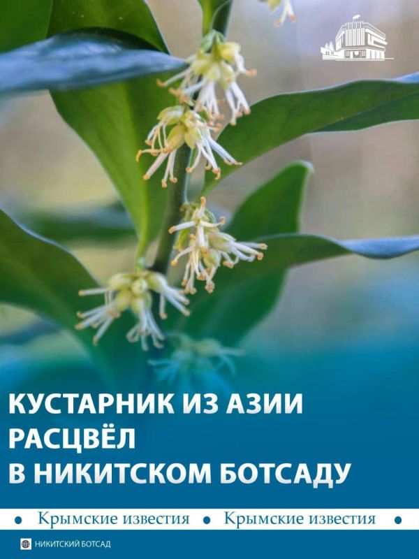 � ��������� ������������ ���� ����� �������� ���������� ������ � ����������� ��������� � ���������� �������