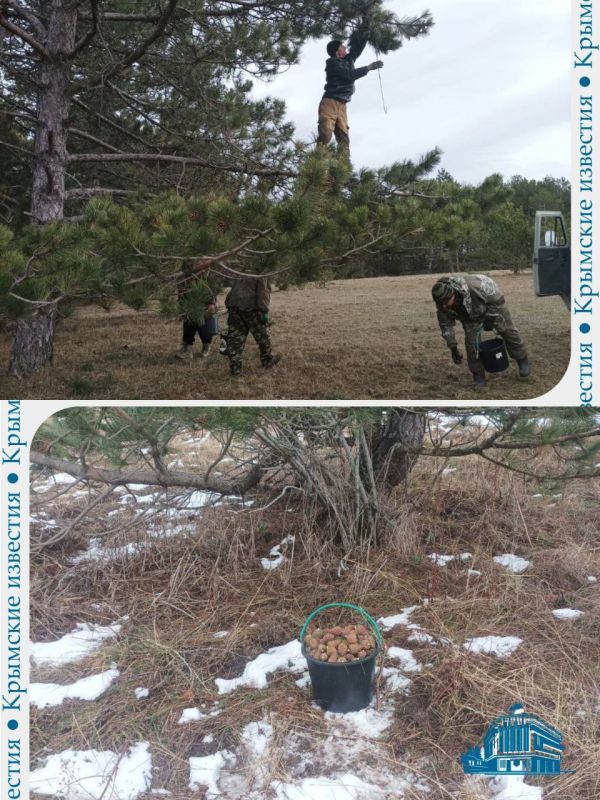 4 ����� ����� ������ �������� ��������� � ����� �� ����� ����