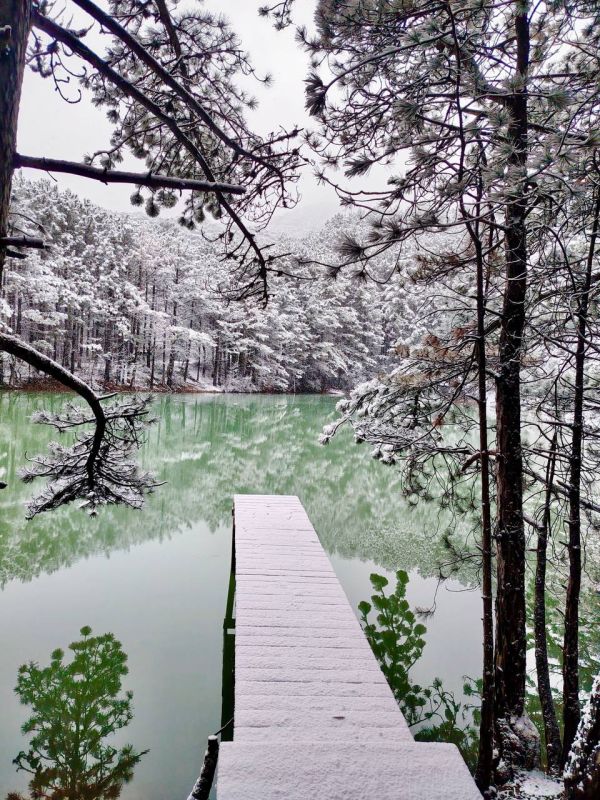 ������ � ���� ����������� �����