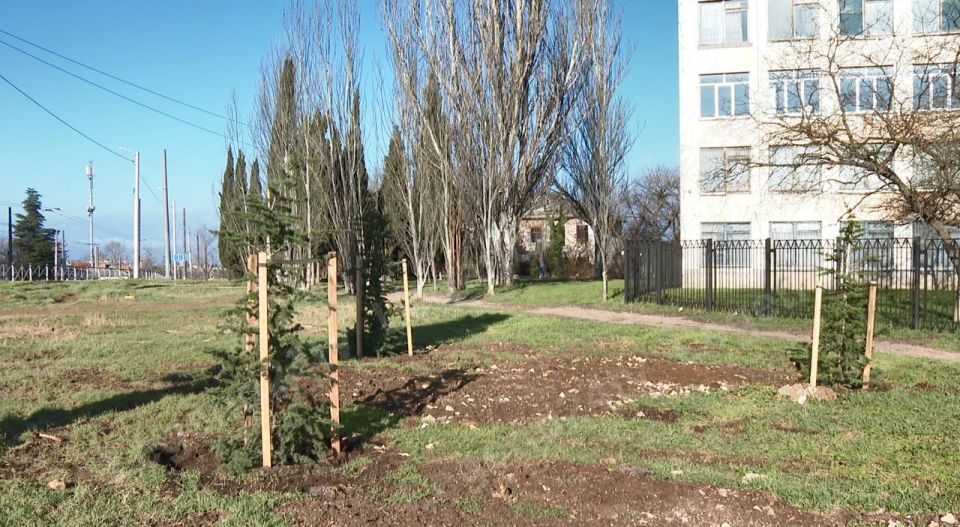 146 деревьев высадили на улице Семипалатинской в Севастополе