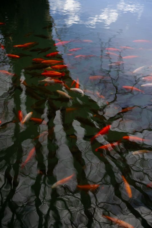 �������� ���������� � ������������ ������ � ������