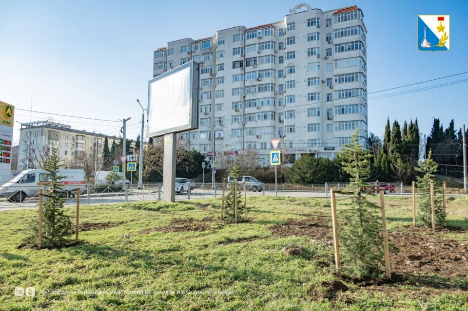 На улице Семипалатинской высадили 146 деревьев На улице Семипалатинской высадили 146 деревьев