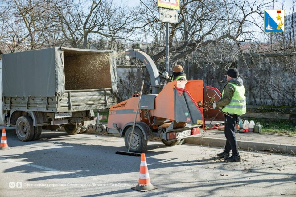 На улице 2-й Бастионной обрезают аварийные ветки и сухие деревья На улице 2-й Бастионной обрезают аварийные ветки и сухие деревья