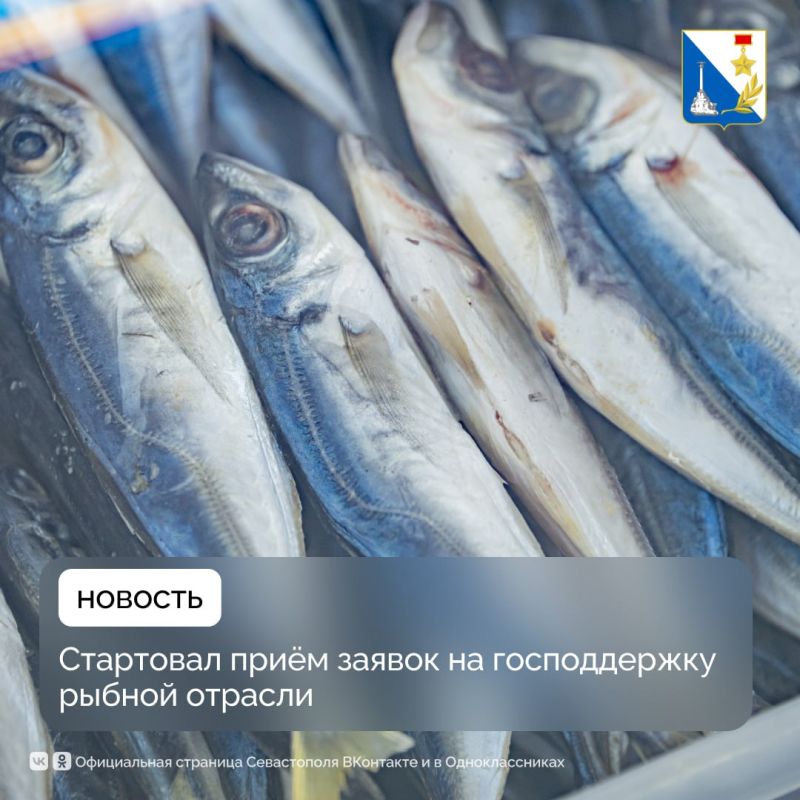 Предприятия рыбной отрасли Севастополя получат господдержку