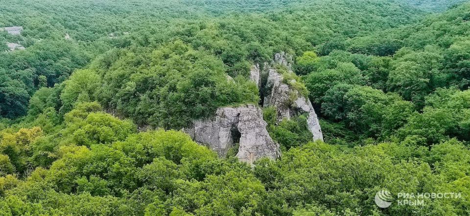 В Крыму за год ликвидировали 160 свалок и восстановили 300 гектаров леса