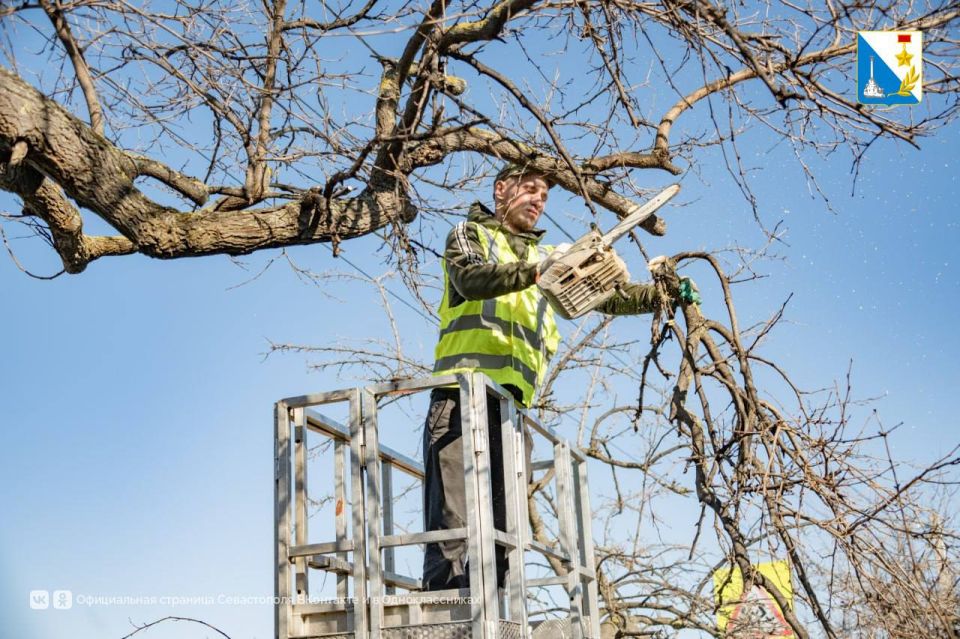 На улице 2-й Бастионной обрезают аварийные ветки и сухие деревья