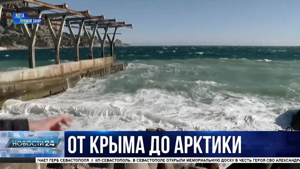 Будущее России. Для изучения Чёрного моря на полуостров со всей страны съехались студенты