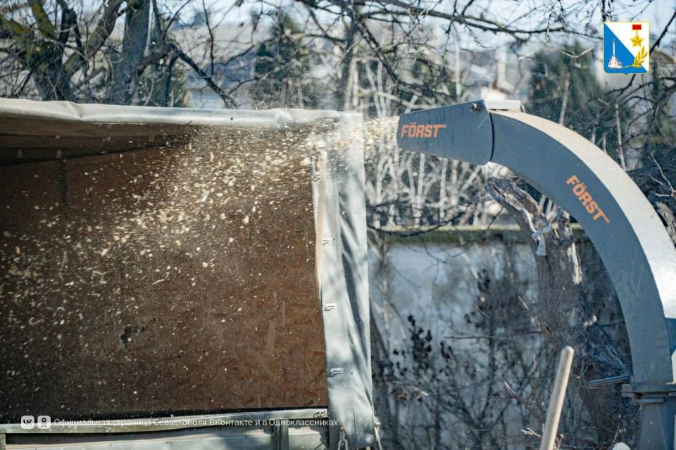 На улице 2-й Бастионной обрезают аварийные ветки и сухие деревья На улице 2-й Бастионной обрезают аварийные ветки и сухие деревья