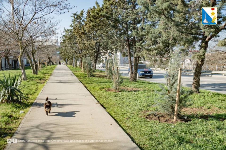 На улице Семипалатинской высадили 146 деревьев На улице Семипалатинской высадили 146 деревьев