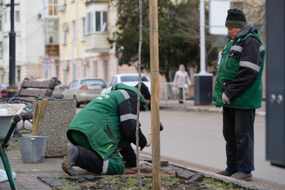 По поручению главы администрации Олега Каторгина сотрудники Службы городского хозяйства проводят восстановление плиточного покрытия в пешеходной зоне на ул. Пирогова. На отдельных участках бульвара требовался ремонт: рабочие... По поручению главы администрации Олега Каторгина сотрудники Службы городского хозяйства проводят восстановление плиточного покрытия в пешеходной зоне на ул. Пирогова. На отдельных участках бульвара требовался ремонт: рабочие...