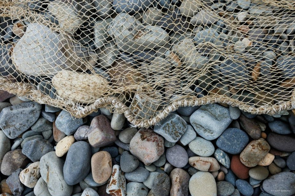 ������������ ����� ����. ������� ���� �� ���� �������