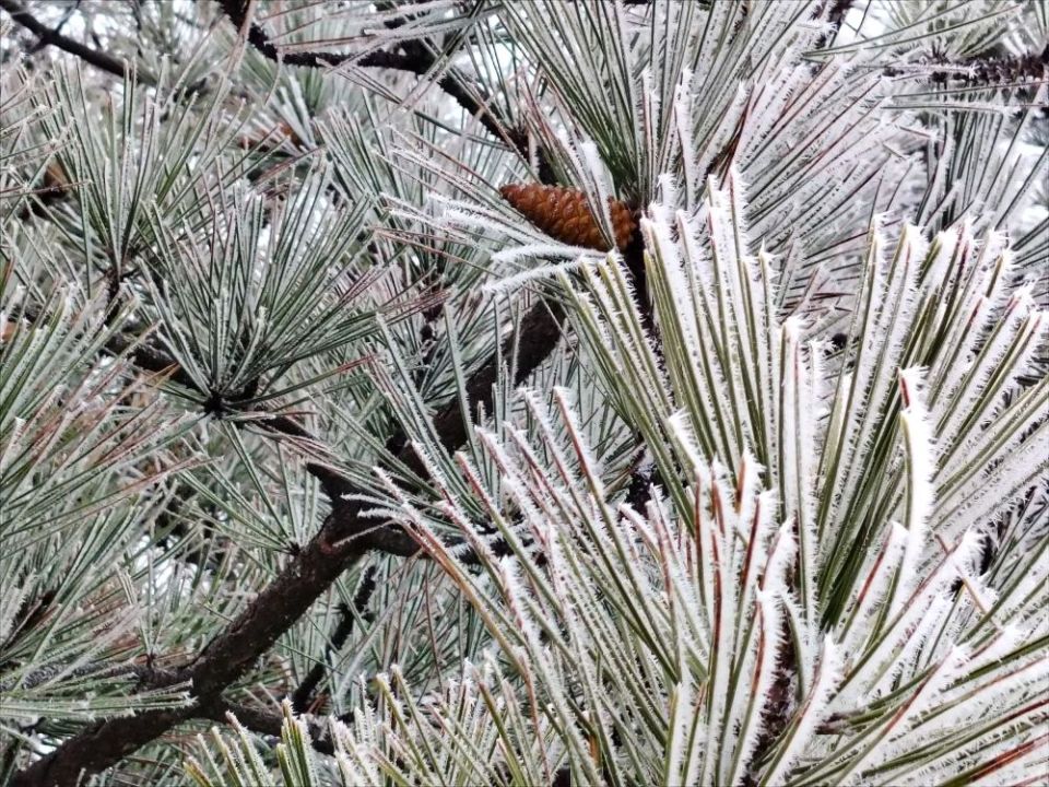 ������ ����, �������!. ������ ��� ���, ������� ��������� �������� � ������� �������! ������� � �������� �������, t +1 - +7, ����� ���������, ���������