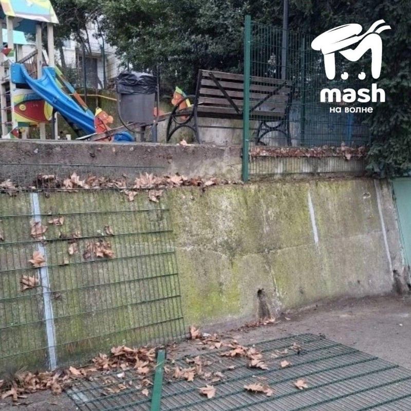 ������ ���� � ������������ ������ �� ������� �������� � ����