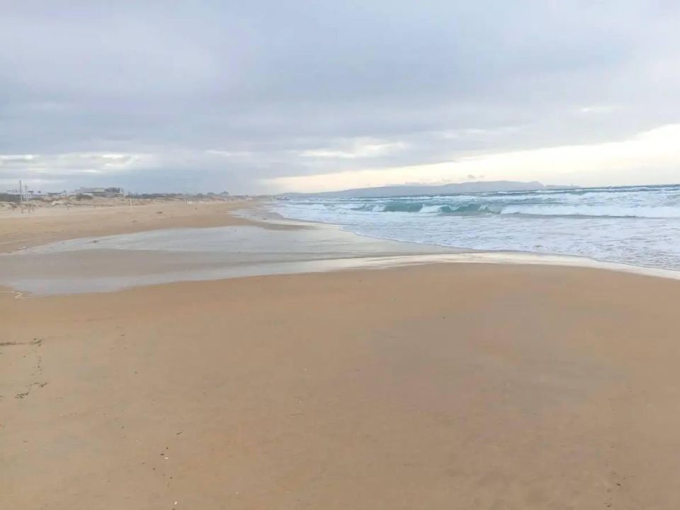 � ����� ���������� ������ ������� ������ � �������� "����������"