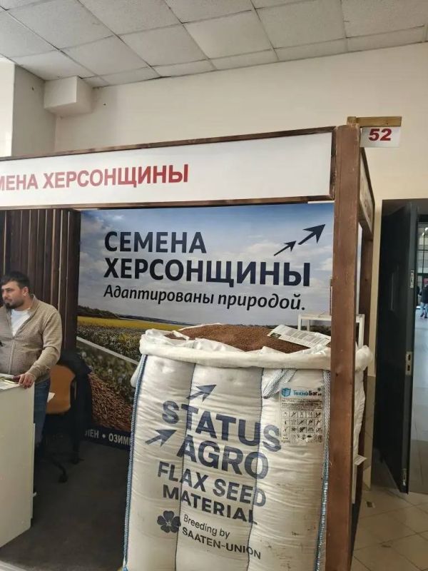 ��������� �������: ������� XIV �������� �������� ��������������, ������� ������ � �����������