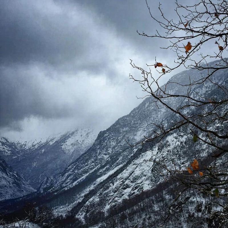 15 февраля в Крыму ожидается сильный ветер