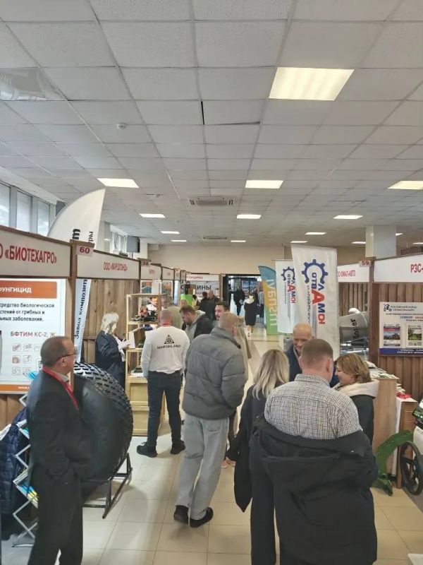 ��������� �������: ������� XIV �������� �������� ��������������, ������� ������ � �����������