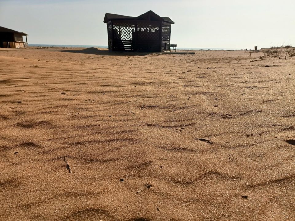 ����� ���� �� �����. ������������ ����, �����