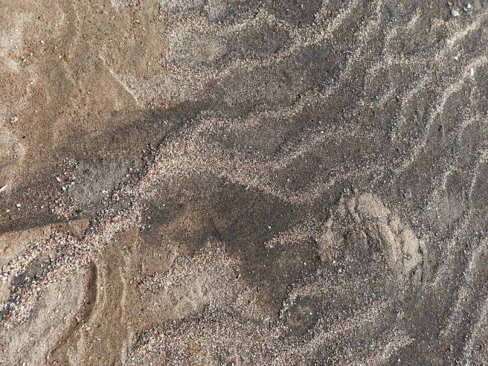 ����� ���� �� �����. ������������ ����, �����