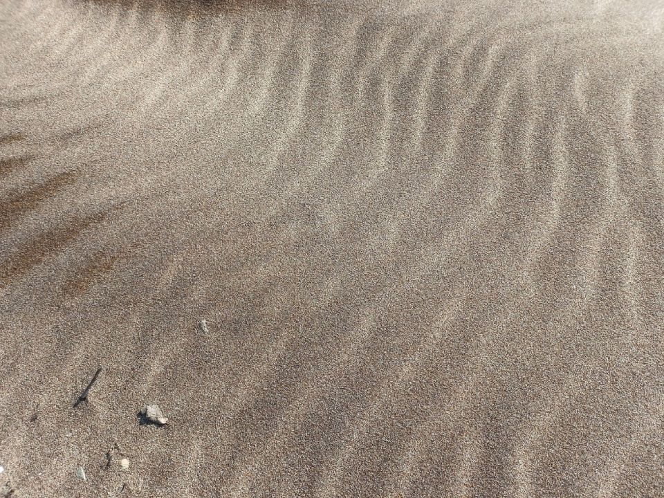 ����� ���� �� �����. ������������ ����, �����