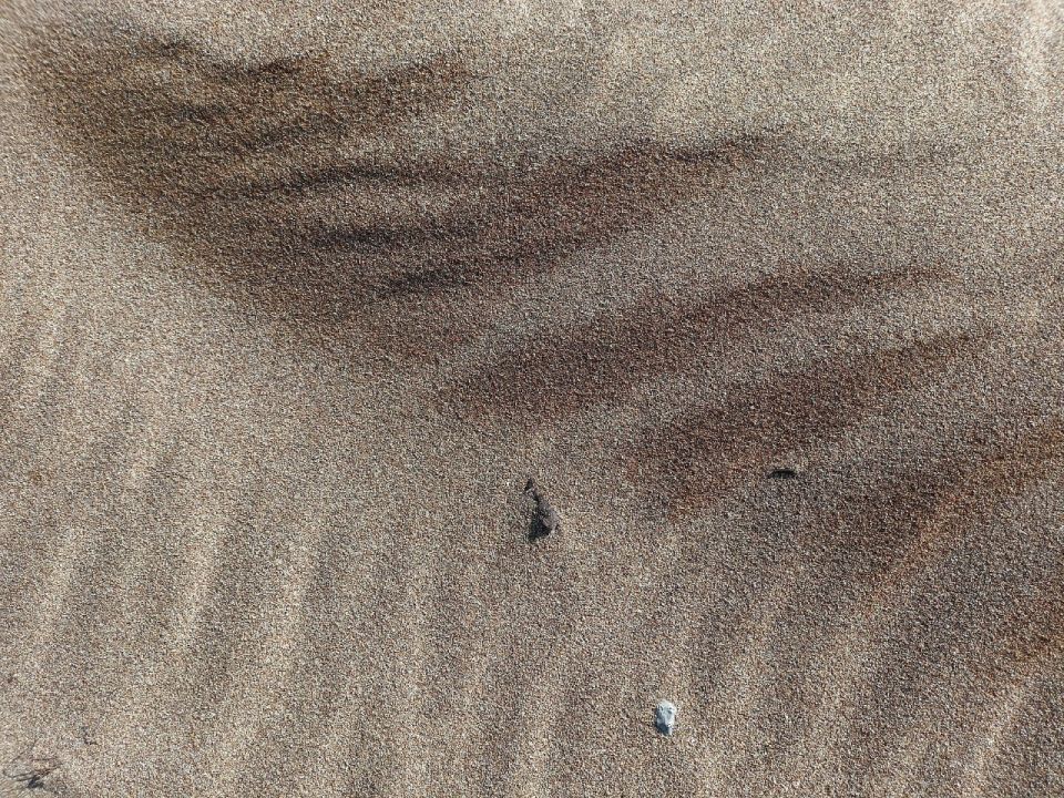 ����� ���� �� �����. ������������ ����, �����