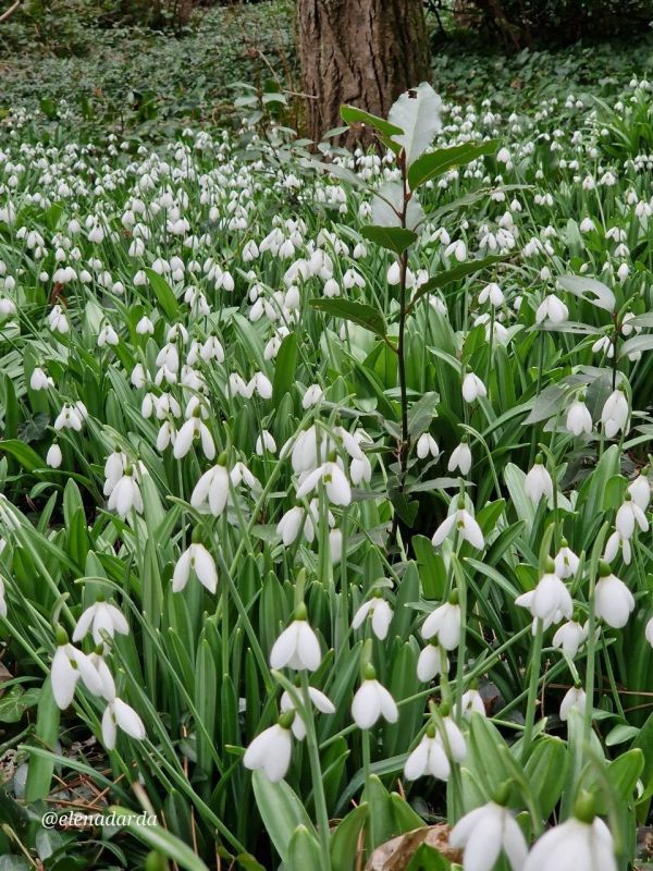 ��������� ����� �� ������������ � ��������� ������������ ����