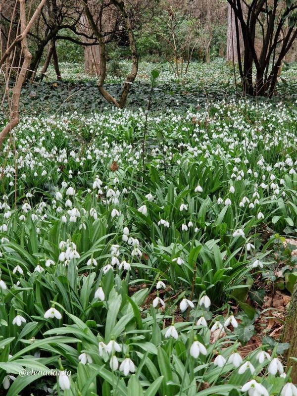 ��������� ����� �� ������������ � ��������� ������������ ����