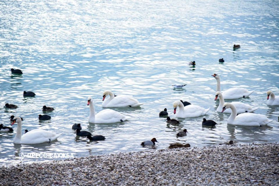 ���� �� ������ ��������. � ��������� ��� � ����� ��������� ������������ ��������� �������� ������� ��-�� ����������� ����� ��������, ������� �������� � ����� �����, ������� ����� � ������ ��������� ����������