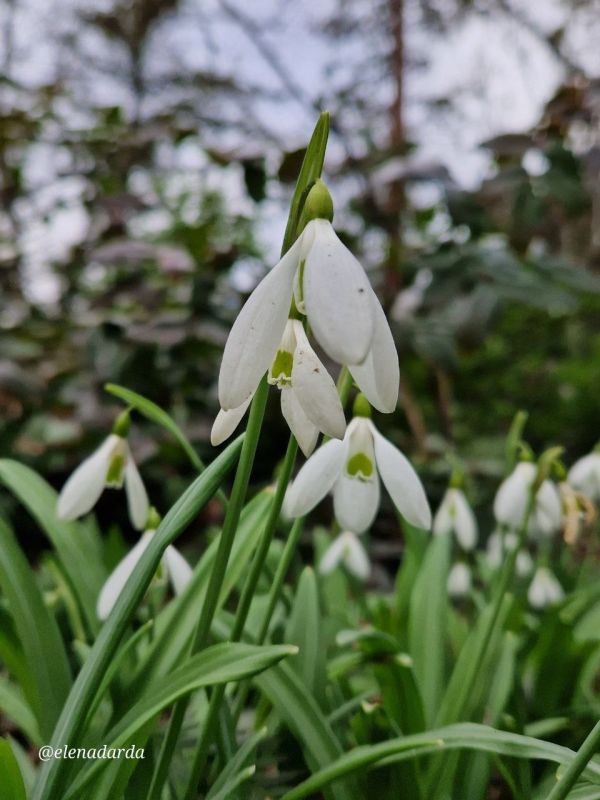 ��������� ����� �� ������������ � ��������� ������������ ����