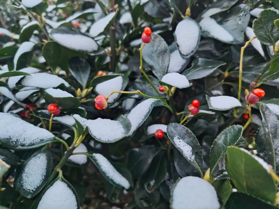 ������ ����, �������!. ����� ���� ���������� ���, ��� ����� � ��� ��������� ���, � ������� � ��� ���� ����������� ��������� � ������, �������� � ������������