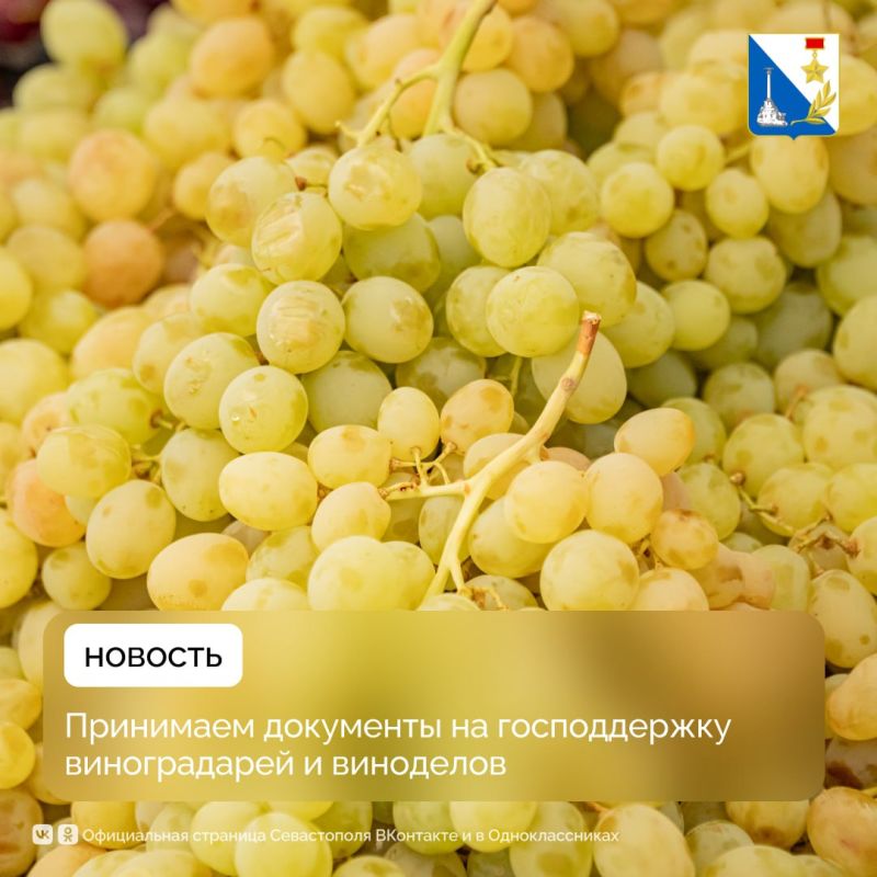 ������������ ������������ � ���������