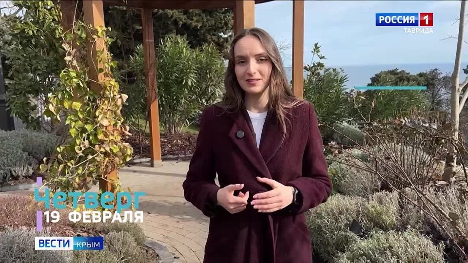 ����������� ����� ����: ������� ������ �� ������