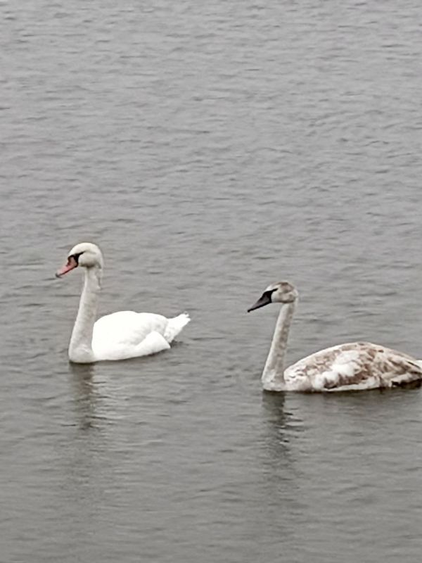 ���� ���������: ��������� ������ ������������ ������! �������� �� ��� ����� ��������� ���������