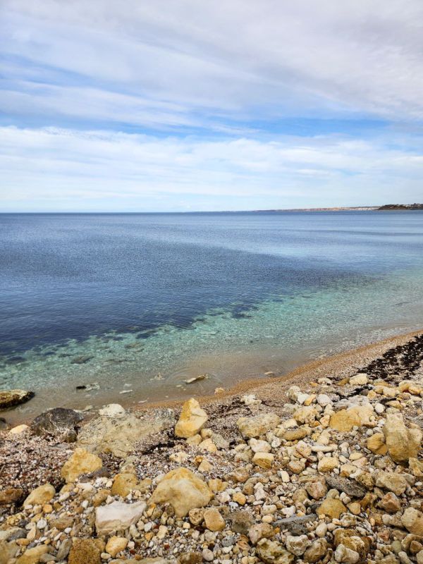 ������ ���������� �������� ����������� � �����������