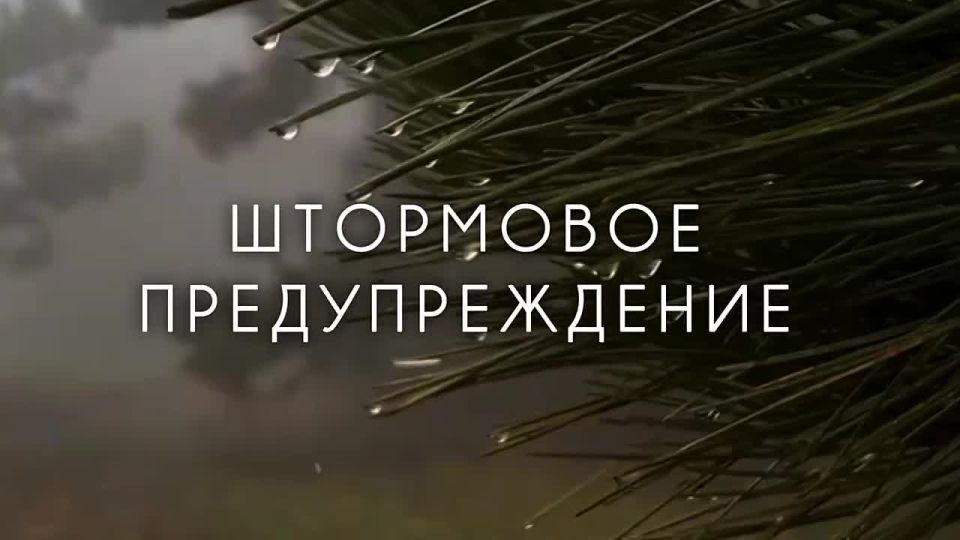 ���������� �������������� �� ������� ���������������������� �������� �� ���������� ���� �� 18 �������