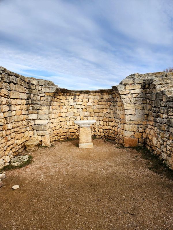 ������ ���������� �������� ����������� � �����������