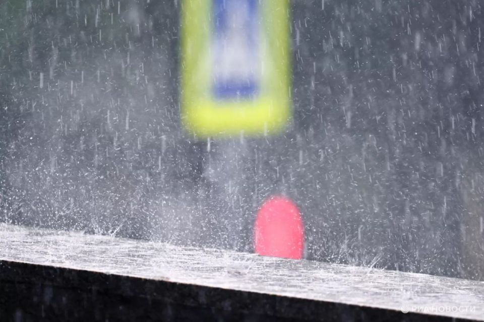 ������� ������ � ����� �� �������