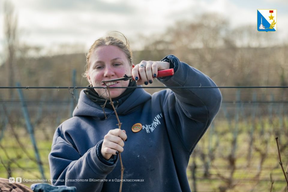 � ����������� ����������� ���������� � ������� ����