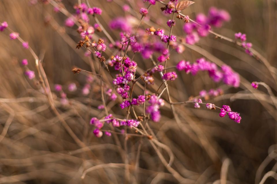 ����� �� �����.... � ������ ����������� �������� ������� ������� � ����������� ����� �������� �����, ����� ������� ����� �� ������� �������� �������� �����, � ��������� ����, �������������� ������ ����� ��������, ���������...