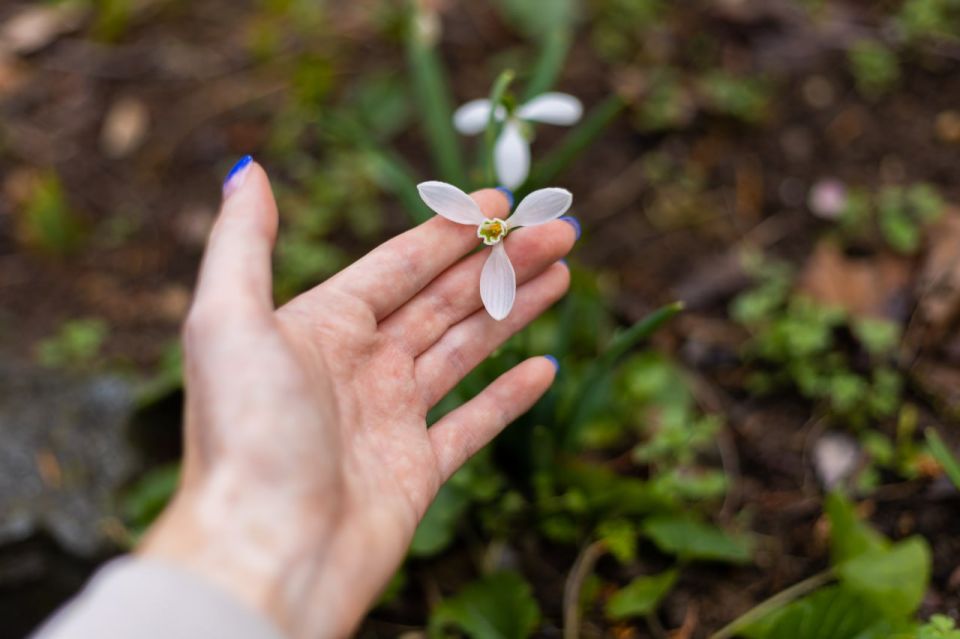 ����� �� �����.... � ������ ����������� �������� ������� ������� � ����������� ����� �������� �����, ����� ������� ����� �� ������� �������� �������� �����, � ��������� ����, �������������� ������ ����� ��������, ���������...