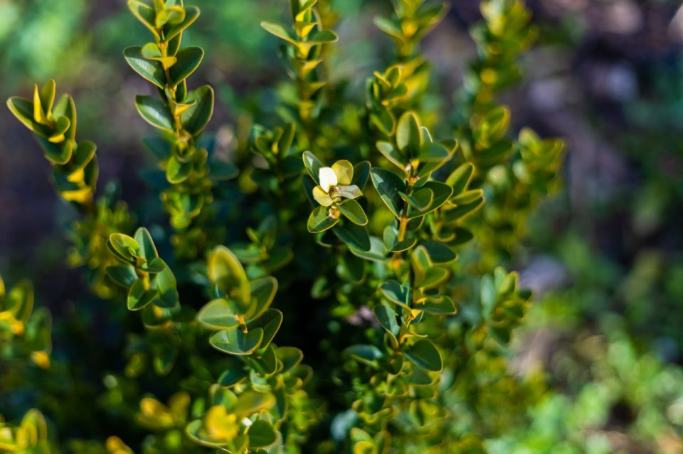 ����� �� �����.... � ������ ����������� �������� ������� ������� � ����������� ����� �������� �����, ����� ������� ����� �� ������� �������� �������� �����, � ��������� ����, �������������� ������ ����� ��������, ���������...