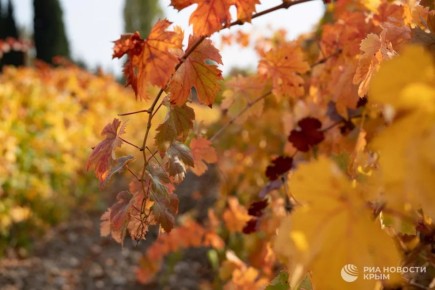 � ���� ���� �� �������� � ������� ��������� �������������� � ��������� ������� 931 ������� ������