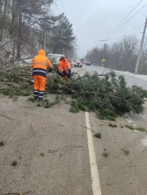 ��������� ����� ������� ������� �� ������ �����