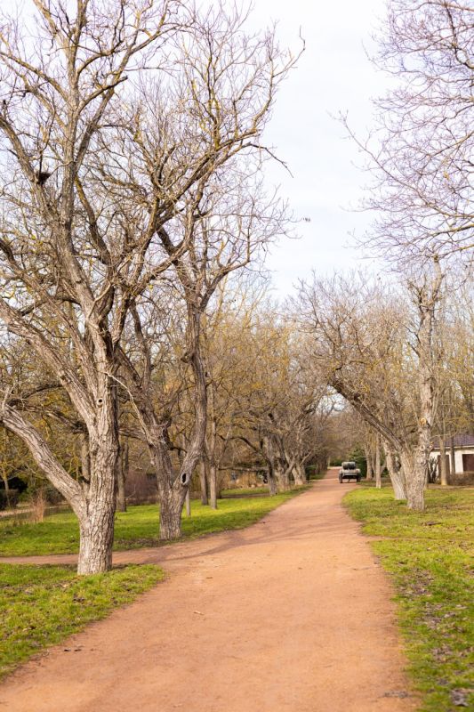 ����� �� �����.... � ������ ����������� �������� ������� ������� � ����������� ����� �������� �����, ����� ������� ����� �� ������� �������� �������� �����, � ��������� ����, �������������� ������ ����� ��������, ���������...