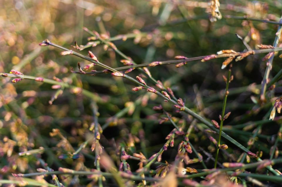 ����� �� �����.... � ������ ����������� �������� ������� ������� � ����������� ����� �������� �����, ����� ������� ����� �� ������� �������� �������� �����, � ��������� ����, �������������� ������ ����� ��������, ���������...