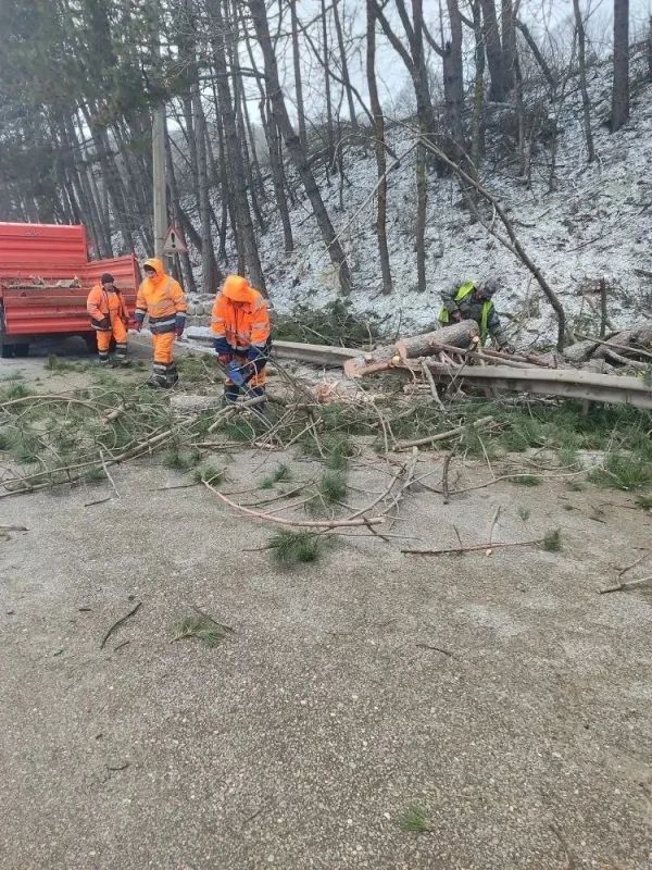 ��������� ����� ������� ������� �� ������ �����