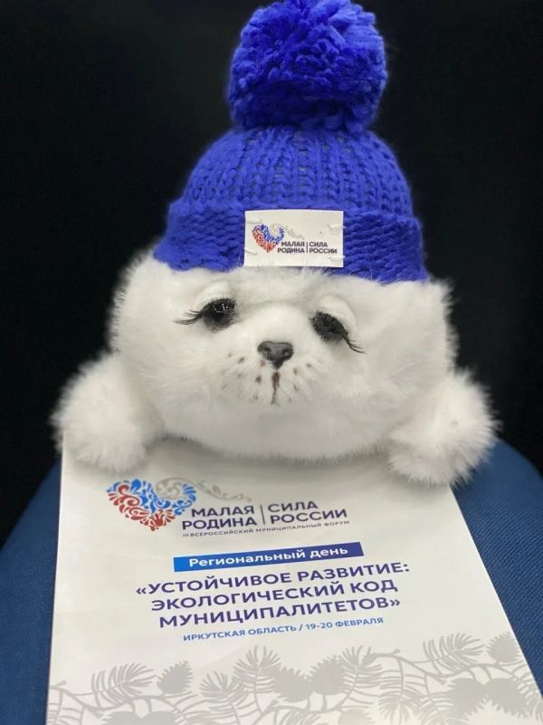 �������� ���������: ��������� � ������ �������������� ����������� - ������������� ��������������� ��������� ������ ������ ��������� � ������ �������������� ����������� ��������� ��������� ���������� ������ ����������, �...