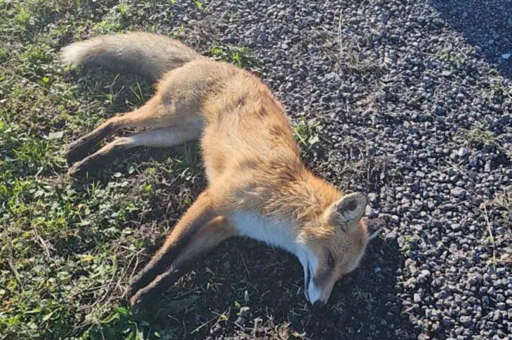 ����� ��������� ���������� ��� ���������� � ������