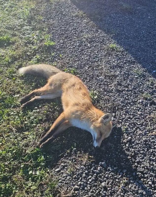 � ������ ���������� ���������� ���������� ���